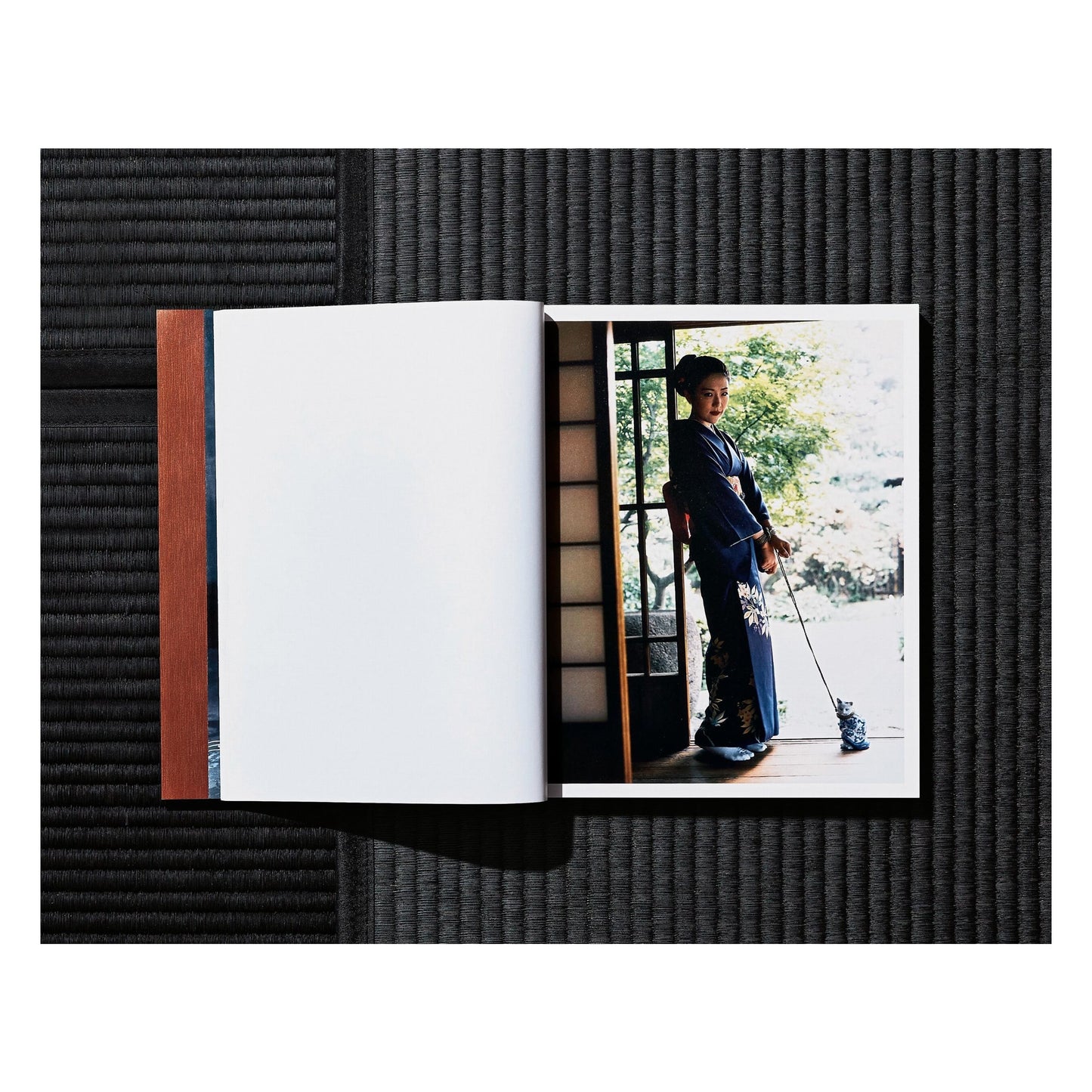 Araki. Bondage (German, French, English)