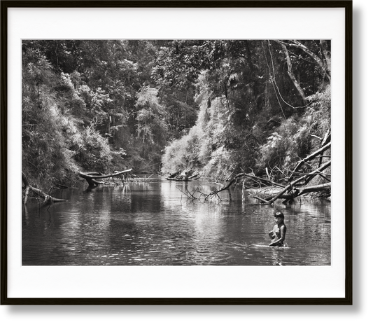 Sebastião Salgado. Amazônia. Art B (English) (AP)