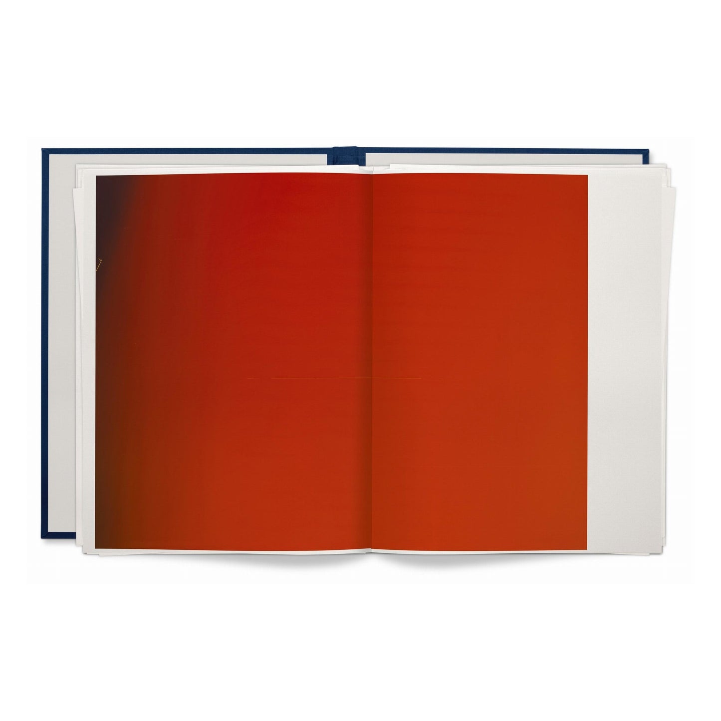 Wolfgang Tillmans. Neue Welt. Art Edition (German, French, English) (SA)