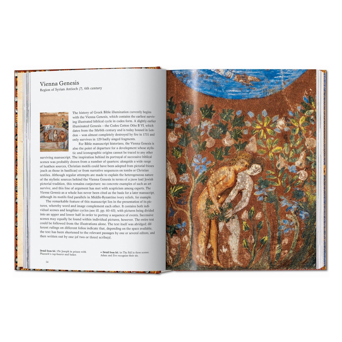 The Book of Bibles. 45th Ed. (English)