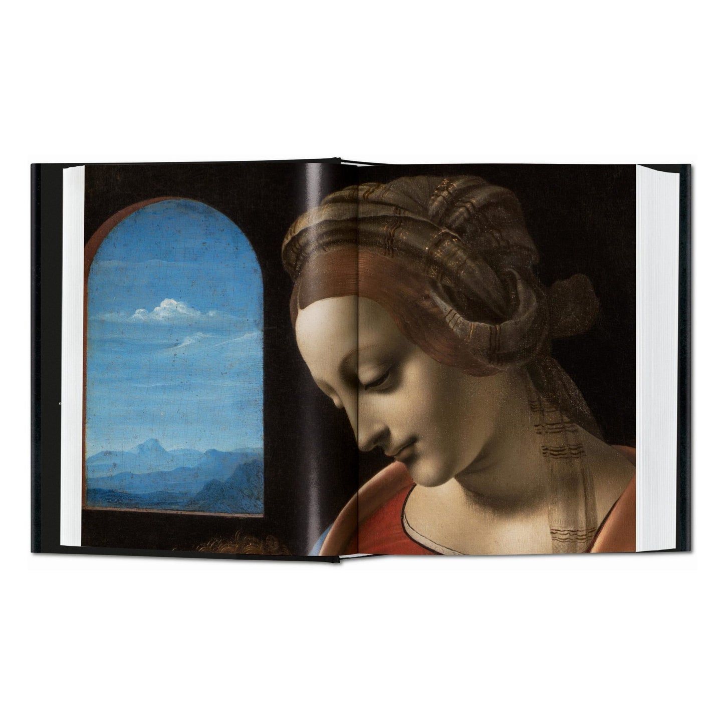 Leonardo. The Complete Paintings (English)