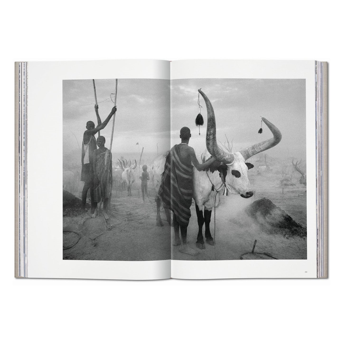 Sebastião Salgado. Genesis (English) (SA)