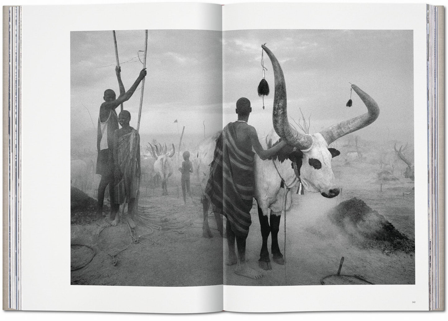 Sebastião Salgado. Genesis (English) (AP)